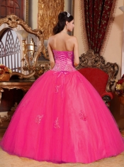 Ball Gown Sweetheart 15th Birthday Dresses Tulle Appliques