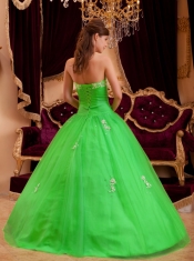 Beautiful Spring Green A-line / Princess Strapless Floor-length Appliques Tulle For Sweet 16 Dresses