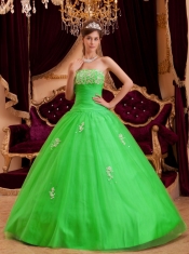 Beautiful Spring Green A-line / Princess Strapless Floor-length Appliques Tulle For Sweet 16 Dresses