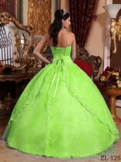 Beautiful Yellow Green Ball Gown Strapless Floor-length Organza Appliques For Sweet 16 Dresses