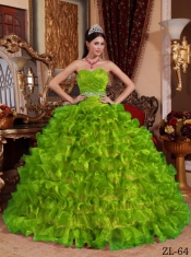 Classical Quinceanera Dresses In Spring Green Ball Gown Sweetheart With Organza Beading