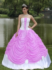 Custom Made Pretty Quinceanera Dresses With Strapless Ball Gown Rose Pink and Pick-ups