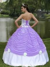 Custom Made Quinceanera Dress With Strapless Ball Gown Purple and Pick-ups