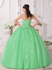 Discount Quinceanera Dress In Apple Green Ball Gown Strapless With Appliques