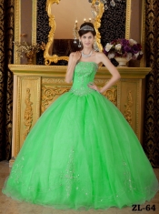 Discount Quinceanera Dress In Spring Green Ball Gown Strapless With Organza Beading