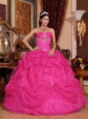 Elegant Hot Pink Ball Gown Sweetheart Floor-length Organza Beading For Sweet 16 Dresses