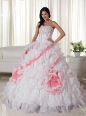 Elegant Organza Sweetheart Appliques Ball Gown Dress with Sweep Train