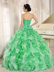 Exquisite Sweetheart Green Beaded Bodice and Ruffles Organza Quinceanera Dress