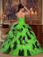Green and Black Organza Ball Gown Strapless Floor-length 2014 Spring Quinceanera Dresses