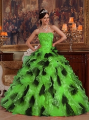 Green and Black Organza Ball Gown Strapless Floor-length 2014 Spring Quinceanera Dresses