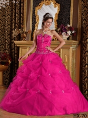 Hot Pink Ball Gown Strapless Floor-length Pick-ups Tulle For Sweet 16 Dresses