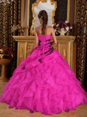 Hot Pink Ball Gown Sweetheart Pretty Quinceanera Dresses with  Organza Appliques
