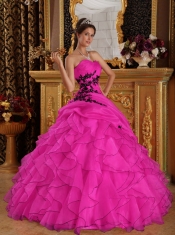 Hot Pink Ball Gown Sweetheart Pretty Quinceanera Dresses with Organza Appliques