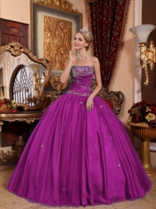 Lovely Fuchsia Ball Gown  Floor-length Taffeta and Tulle Appliques Cheap Quinceanera Dresses