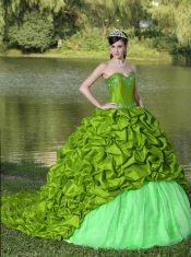 New Styles With Appliques and Pick-ups In Spring Green Brush Train For 2013 Quinceanera Dress