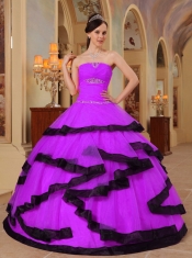 Purple and Black Strapless Pretty Quinceanera Dresses with Organza Appliques