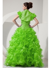 Spring Green A-line Sweetheart Floor-length Organza Beading Pretty Quinceanera Dresses