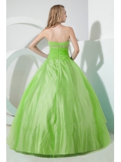 Spring Green Ball Gown Strapless 15th Birthday Dresses  Organza Beading and Embroidery