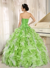 Spring Green Beaded 15th Birthday Dresses Bodice and Ruffles Custom Made For 2013