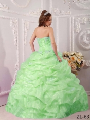 Spring Quinceanera Dresses Beadings Ruffles Apple Green Appliques 2014 Organza
