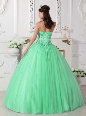 Sweet Sweetheart Tulle and Taffeta Ball Gown Dress in Apple Green with Beading and Appliques