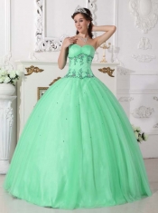 Sweet Sweetheart Tulle and Taffeta Ball Gown Dress in Apple Green with Beading and Appliques