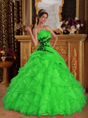 Sweetheart 2014 Appliques Green Ball Gown Organza Spring Quinceanera Dresses