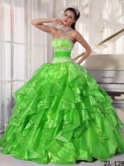 Sweetheart Appliques and Paillette Organza Spring Green Ball Gown Best Quinceanera Dresses