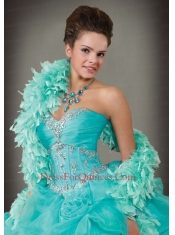 Fashionable Blue Sweetheart Organza Quinceanera Dress with Beading