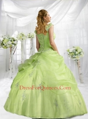 2014 Beautiful Yellow Green Straps Dresses For a Quinceanera with Appliques and Pick-ups
