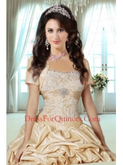 2014 Lovely Sweetheart Appliques Dresses for Quinceanera  in Champagne