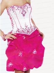 Embroidery Taffeta Sweet 16 Dress in White and Hot Pink