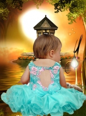 Elegant A-Line Scoop Little Girl Dresses with Appliques Bowknot in Green for 2014