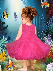 A-Line Scoop Tea-length Appliques and Ruffles Hot Pink Little Girl Dress for 2014