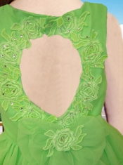 Backless Scoop A-Line Appliques and Ruffles Little Girl Dress