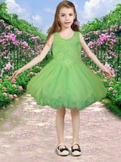 Backless Scoop A-Line Appliques and Ruffles Little Girl Dress