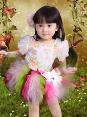 Ball Gown Multi-color Tulle Scoop Little Girl Dresses with  Bowknot