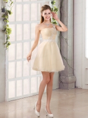 2015 Perfect A Line Organza Dama Dress with Mini Length