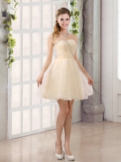 2015 Perfect A Line Organza Dama Dress with Mini Length
