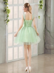 Ruching Organza A Line Straps Dama Dresses with Lace Up