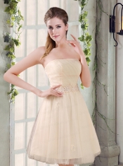 Strapless Appliques 2015 New Dama Dress in Champagne