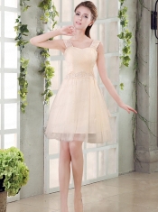 Straps A Line Champagne Dama Dress with Appliques