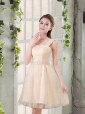 Straps A Line Champagne Dama Dress with Appliques