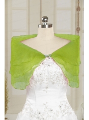 2015 New Style Beading Organza Shawls in Spring Green