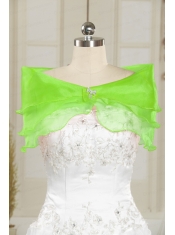 Beautiful Beading Organza Shawls in Spring Green