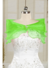 Beautiful Beading Organza Shawls in Spring Green