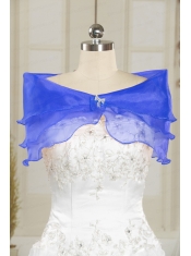 Fall Organza Beading Shawls in Baby Blue