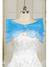 Fall Organza Beading Shawls in Baby Blue