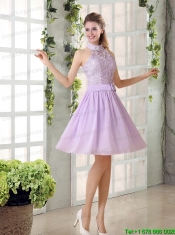 2015 Brand New Style A Line Chiffon Christmas Party Dress