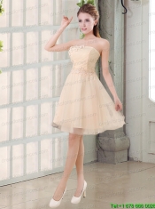Champagne A Line Strapless Appliques Junior Dress